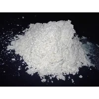 industrial minerals Diatomaceous earth / tanah diatom/ diatomit / japan